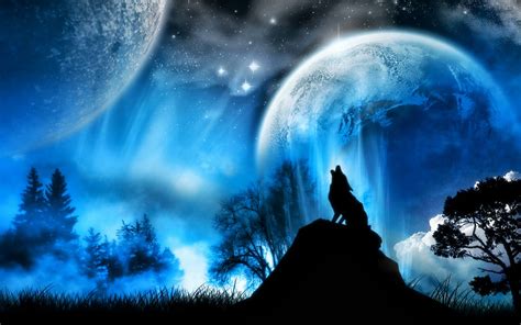 Winter Wolf Wallpaper High Definition High Quality