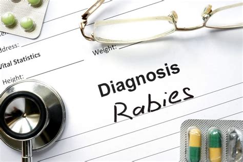 10 Symptoms Of Rabies Facty Health