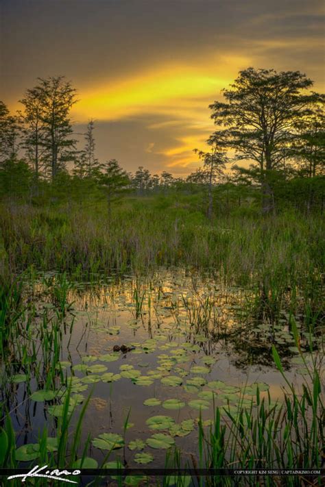 Peace Warm Sunset Florida Wetlands Hdr Photography By Captain Kimo