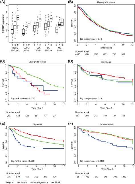 Association Of P16 Expression With Prognosis Varies Across Ovarian