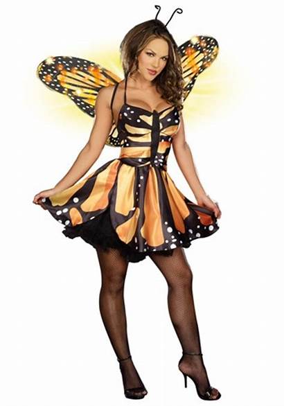 Fairy Costume Monarch Google