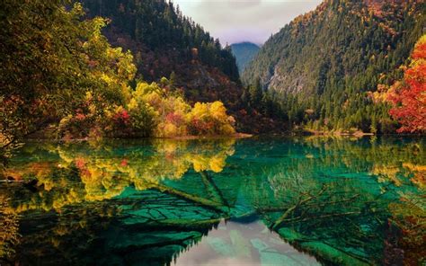Download Wallpapers Jiuzhaigou Five Flower Lake National Park