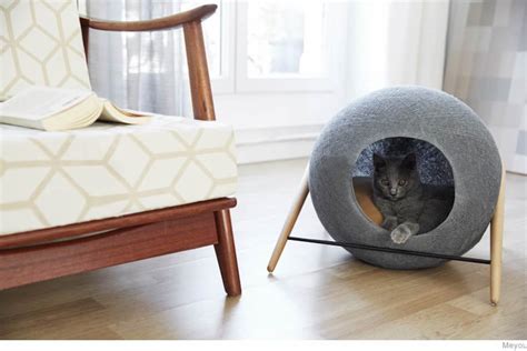 Cat Beds Introduce Your Cat To Her New Favourite Sleeping Spot