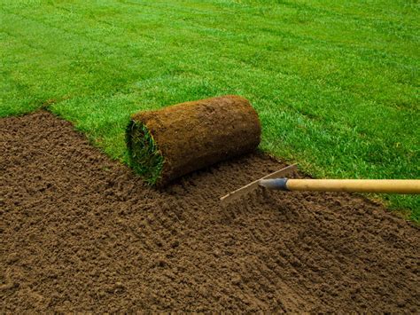 How To Install Sod How Tos Diy