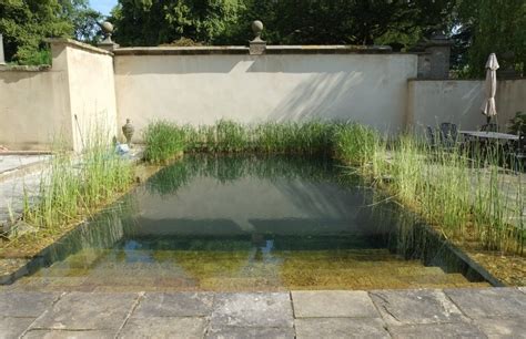 Natural Swimming Pools And Ponds Garden Style Sheffield Landscaping Garden Design And Maintenance