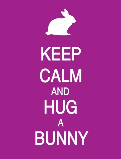 Keep Calm 052815 Bunny Mom Hunny Bunny Pet Bunny Bunny Rabbit