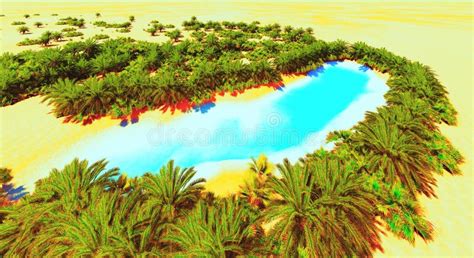African Oasis Stock Photo Image Of Palm Bright Summer 56648416