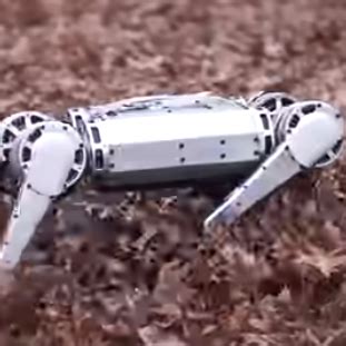 Voici Cheetah le nouveau robot du MIT capable de faire des sauts périlleux