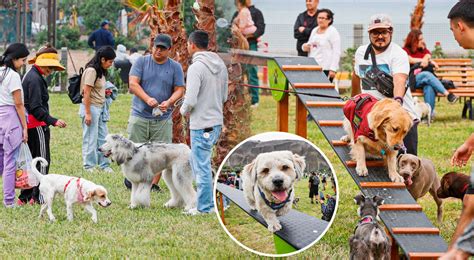 Magdalena Del Mar Inauguran El Primer Parque Canino Del Perú Con