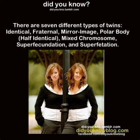 Explain The Difference Between Identical Twins And Fraternal Twins