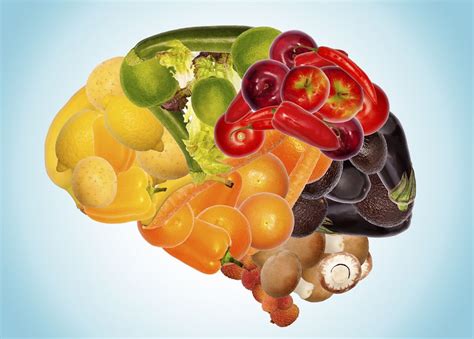 boost your brain power with these 8 healthy brain foods brain healthy foods healthy brain