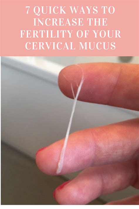 The Ultimate Guide To Cervical Mucus With Photos Fertility Awareness