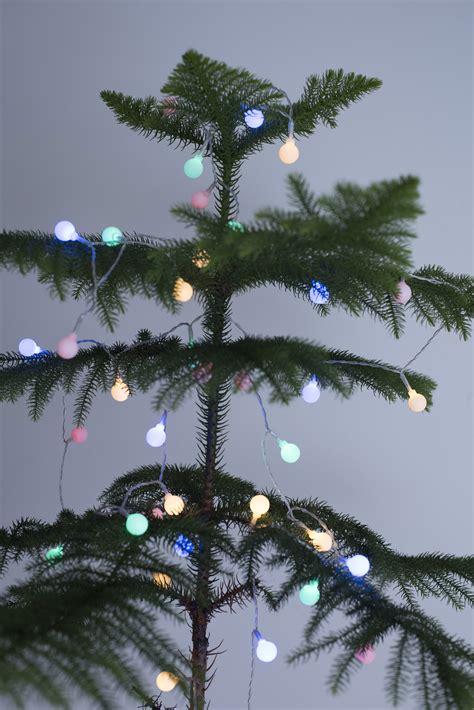 Free Stock Photo 13163 Sparkling Round Christmas Lights On A Natural