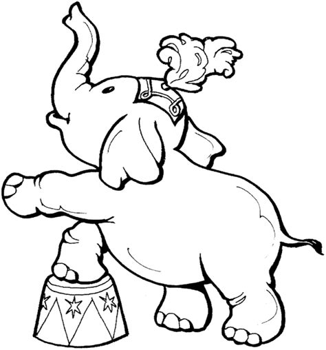 Baby Elephant In Circus Animal Coloring Pages Best Coloring Pages For