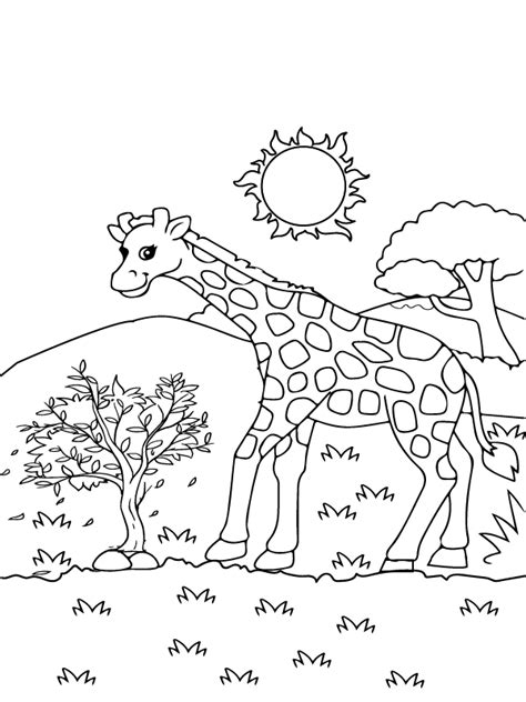 Superb Wildlife Coloring Page Färbung Seite - Kostenlose druckbare