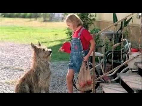 My system is more than able to run killer instincts, and gears of war. Because of Winn-Dixie - YouTube