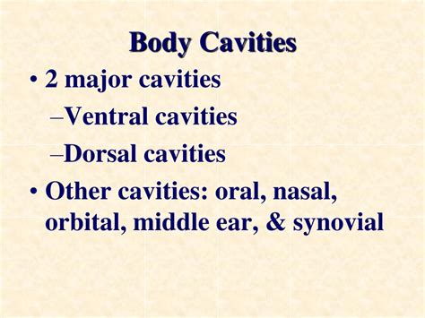 Ppt Body Cavities Powerpoint Presentation Free Download Id 9364852