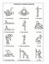 Flexibility Exercises Training Pictures