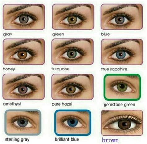 Eye Color Chart Eyes Eyecolors Eye Color Chart Eye Color Facts Pics
