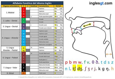 The International Phonetic Alphabet Alfabeto Fonético Internacional Del