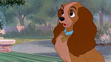 Lady Lady And The Tramp Wiki