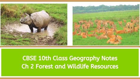 cbse class 10 social science geography chapter 2 forest and wildlife resources notes download pdf