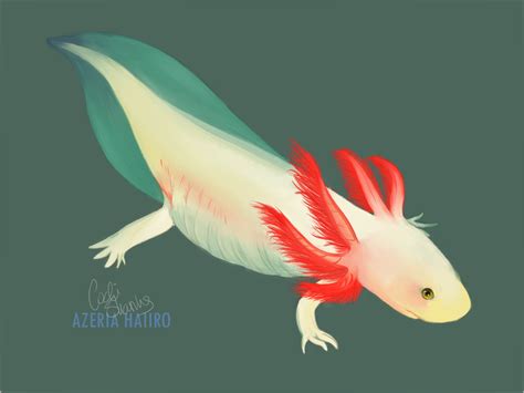 Week 7 Axolotl By Kaiodi On Deviantart