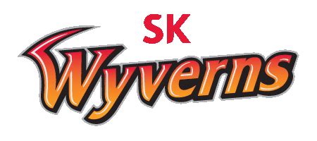Based in incheon, they play their home games at munhak baseball stadium. SK와이번스 :: 굿바이, 리틀쿠바! SK와이번스 NO.62 박재홍 선수 은퇴식