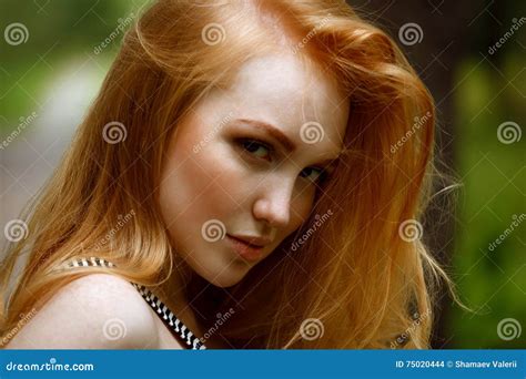 Portrait De Belles Filles Rousses Photo Stock Image Du Fond Beau