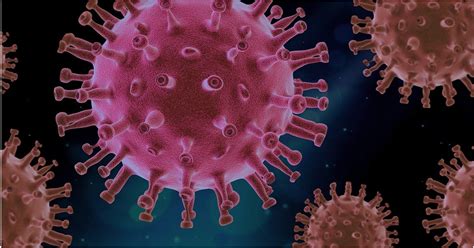 Cientistas Acreditam Ter Descoberto O Ponto Fraco Do Coronavírus E A