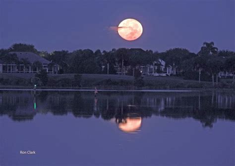 A Full Moon Over Lake Sumter In The Villages Villages