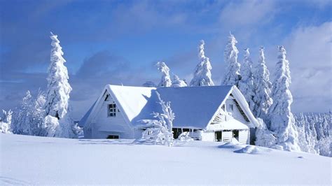 Free Winter Background Wallpaper Nawpic