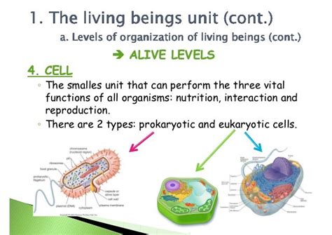 2º Eso Unit 1 Living Beings Nutrition
