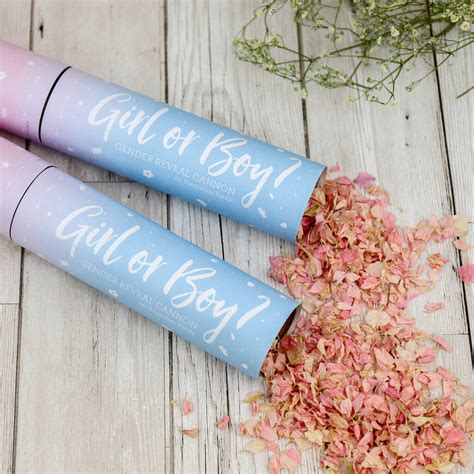 Gender Reveal Cannons Pack Of Two By Shropshire Petals