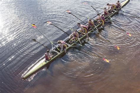 Rowing Team In Scull On Lake Stock Image F0139986 Science Photo
