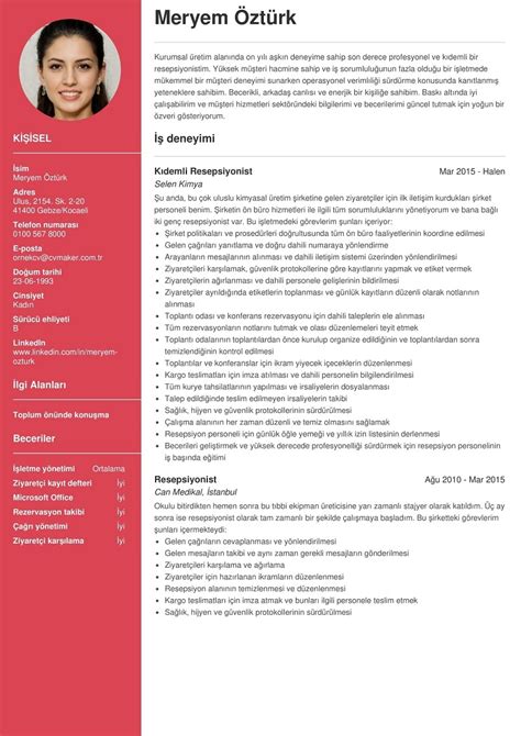 Profesyonel CV Örnekleri Boş CV Şablonları