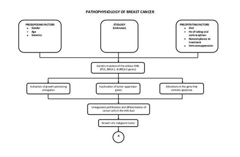 Pathophysiology Of Cancer Diagram