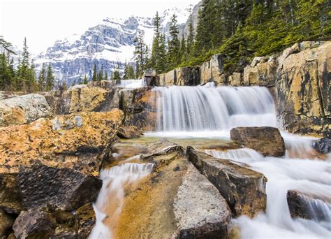 Giant Steps Waterfalls In Banff National Park Stock Image Image Of