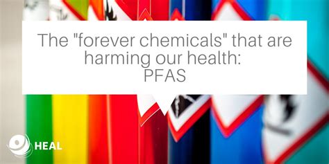 Health And Environment Alliance The “forever Chemicals” That Are