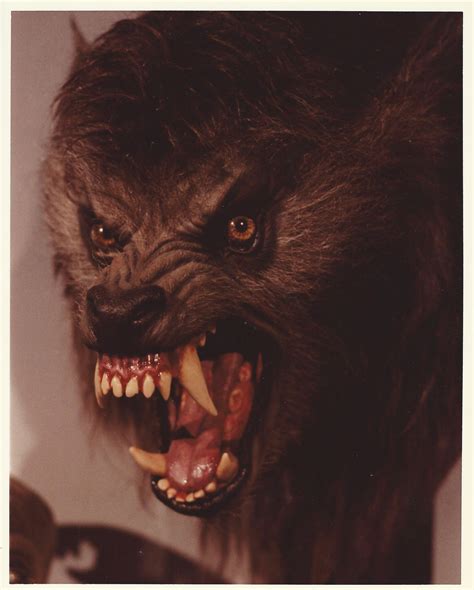 Another werewolf) with the transformations occurring on the night of a full moon. An American Werewolf in London - Fetch Publicity
