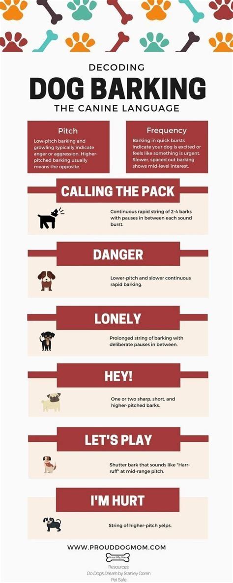 Dogs Infographic Collection Dog Infographic Dog Training Dog Barking