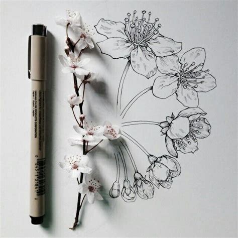Art Tumblr Aesthetic Flowers Plant Drawing Ink Drawing Painting