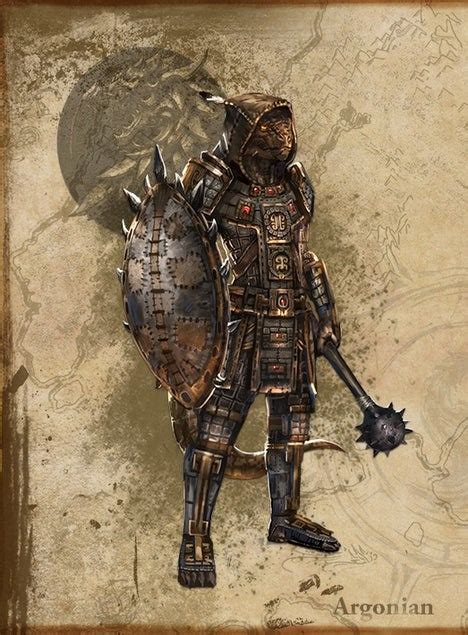 Should Argonians And Khajiit Use Footwear In Lore Not In Game