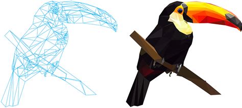 Toucan Low Poly Art On Behance