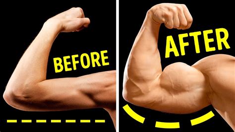 7 Exercises To Build Bigger Arms Without Heavy Weights Youtube