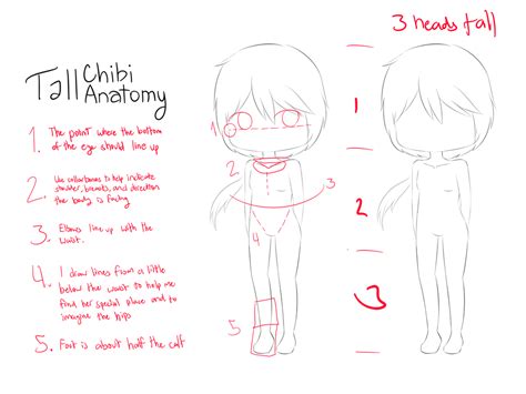 References Tall Chibi Anatomy By Areselia On Deviantart