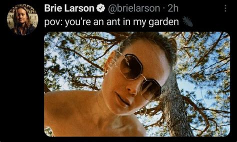If You Want To Know How Brie Larson Sees You Scrolller
