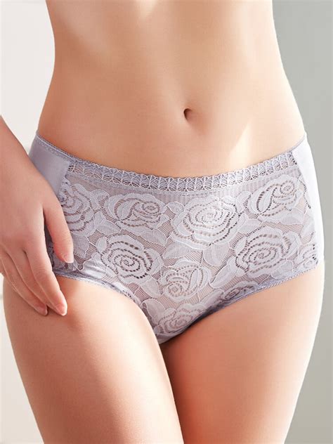 Women Underwear Plus Size Floral Embroidery Lace Trim Mid Waist Mesh