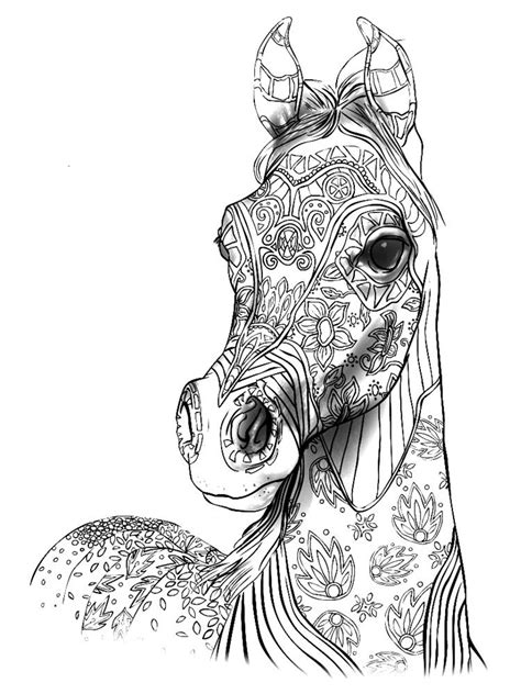 Horse Coloring Book For Adults  coloring pages