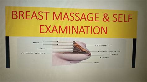 breast massage and self examination global massage directory and alternative therapists directory